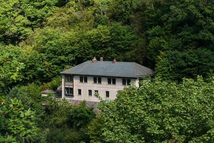 Haus Am Berg Vila Bad Bertrich Exterior foto
